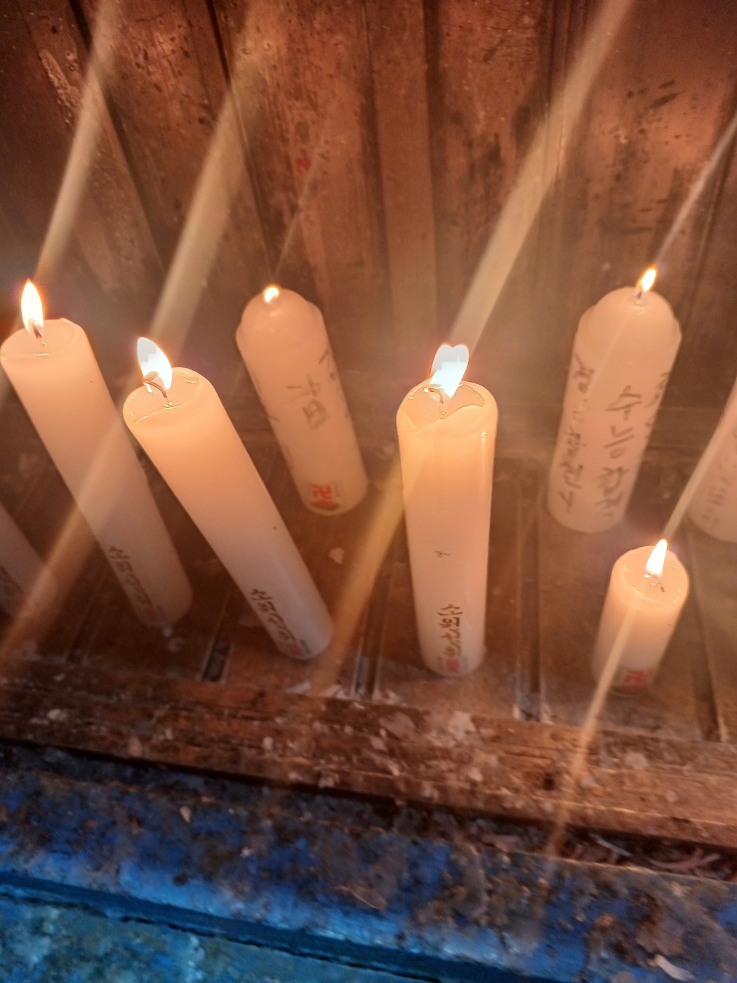 2000769928_t5ygGV1Q_04844f30b889f01dd56209137852ededdee19bed.jpg 이미지크게보기