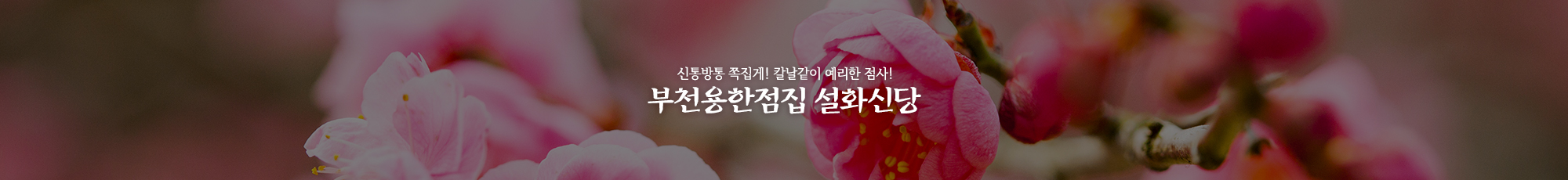 설화신당_공통상단